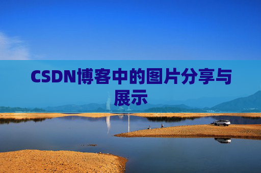 CSDN博客中的图片分享与展示